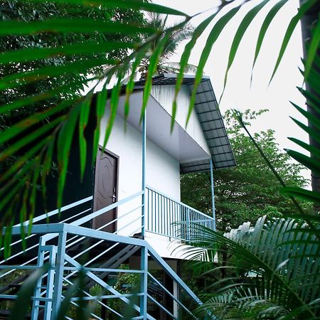Green Auro By Bob Hotels Wayanad Exterior photo